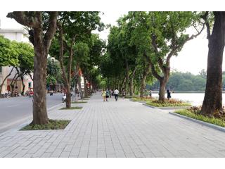 Gạch Terrazzo bê tông màu